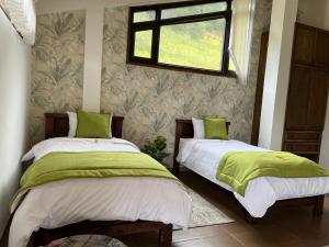 派帕的住宿－Villa Germana，一间卧室设有两张带绿床单的床和窗户。