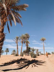 un hombre caminando por el desierto con palmeras en Desert Backpackers hostel, en Merzouga