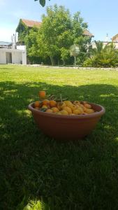 un bol de fruta sentado en la hierba en Casa Agrícola Do Limonete, en Figueira da Foz