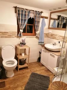 a bathroom with a toilet and a sink at Apartmán Dvě Micky in Pec pod Sněžkou