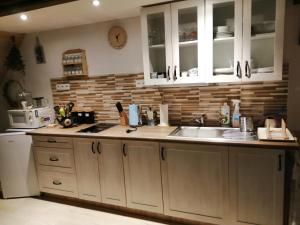 Köök või kööginurk majutusasutuses Apartmán Dvě Micky