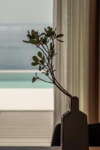 a vase with a plant in it on a table at Limnionas Infinity Cave Villa in Kampíon