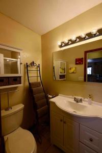 a bathroom with a toilet and a sink and a mirror at Hidden gem close to fairgrounds in Redmond
