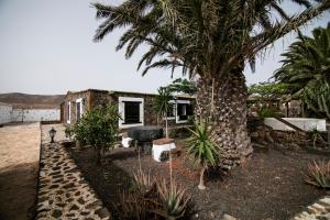 una casa con una palmera delante de ella en Villa Numama, en Puerto del Rosario