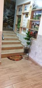 Fotografie z fotogalerie ubytování Vila Senić v destinaci Vrdnik