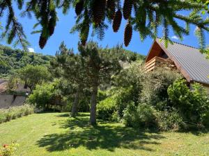 a tree in the yard of a house at Chalet Vue Montagne 6 personnes proche Sanctuaire de La Salette in La Salette-Fallavaux
