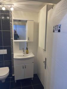 y baño con lavabo, aseo y espejo. en Tranzzit Airport Apartment II, en Otopeni