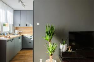 Kuchnia lub aneks kuchenny w obiekcie Apartament Pod Dwójką