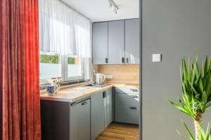 Kuchnia lub aneks kuchenny w obiekcie Apartament Pod Dwójką