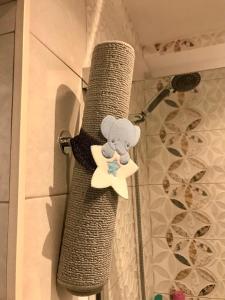 a shower curtain with a teddy bear on a star at El rincón de Manolita. #2 in Bornos