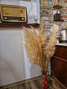 un jarrón con plumas en él con una radio en Sweet room with a terrace, en Roč
