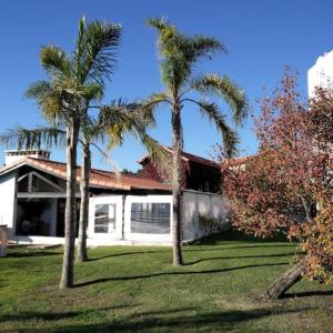 dos palmeras delante de una casa en Casa Agrícola Do Limonete, en Figueira da Foz