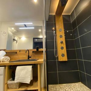 un piccolo bagno con lavandino e doccia di Escale Studio 21m Aéroport CDG Parc expo Astérix a Gonesse
