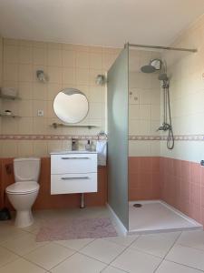 uma casa de banho com um WC, um lavatório e um chuveiro em Noclegi Nad Małym Jeziorakiem em Iława