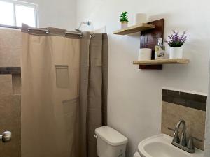 a bathroom with a shower curtain and a toilet at Departamentos cherris in Mérida +22 photos