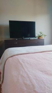 a bedroom with a bed and a flat screen tv at Casa con pileta en Paso de la Patria in Paso de la Patria