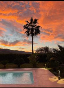 a palm tree and a swimming pool with a sunset at Villa EDEN in La Roquette-sur-Siagne