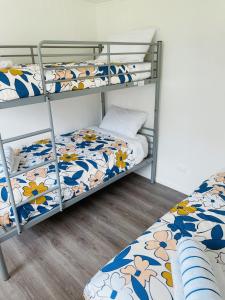 a bunk bed room with two bunk beds in it at Athenree Hot Springs & Holiday Park in Waihi Beach