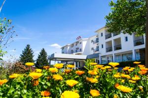 Um jardim em Hotel Belsol