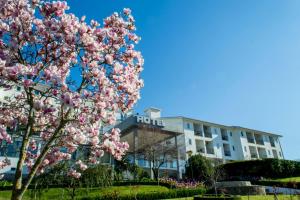 Um jardim em Hotel Belsol