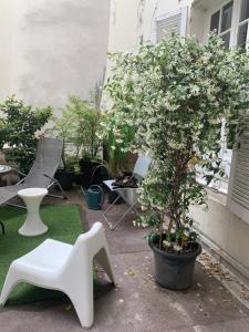 una planta en una olla junto a una silla blanca en Appartement Panthéon, en París