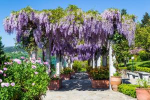 Um jardim em Hotel Belsol