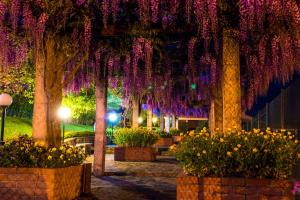 Um jardim em Hotel Belsol