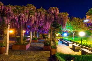 Um jardim em Hotel Belsol