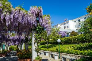 a garden with purple wisterias on a pole with benches at Hotel Belsol in Belmonte