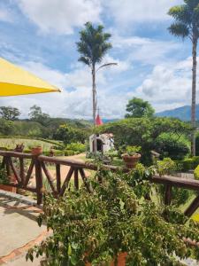a view of a garden with a yellow umbrella and palm trees at Akawanka Lodge in San Agustín