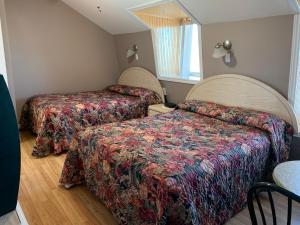 a hotel room with two beds and a window at Auberge Janine du Havre in Shippagan