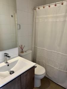 uma casa de banho com um lavatório, um WC e uma cortina de chuveiro. em Lindo y Confortable departamento en Pucón em Pucón