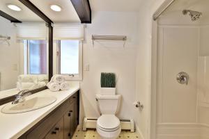 y baño con aseo, lavabo y ducha. en The Birch Ridge- Colonial Maple Room #1 - Queen Suite in Renovated Killington Lodge home en Killington
