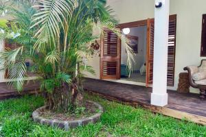 a palm tree in front of a house at Gordon Town Kotch in Kingston