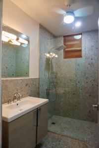 ein Bad mit einem Waschbecken und einer Dusche in der Unterkunft Gordon Town Kotch in Kingston