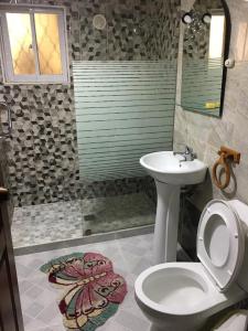 een badkamer met een toilet en een wastafel bij Guest-House alquiler in Santo Domingo