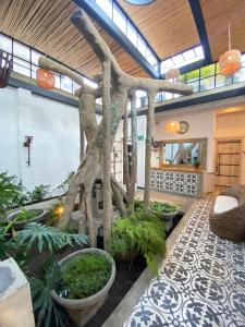 a large room with a tree in the middle of it at MAHI CASA BOUTIQUE in Cali