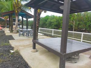 Airport Kota Bharu Transit Inn في كوتا بْهارو: طاولة نزهة وكراسي في حديقة مع أشجار النخيل