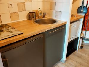 a kitchen counter with a sink and a dishwasher at Studio Villard-de-Lans, 1 pièce, 4 personnes - FR-1-689-118 in Villard-de-Lans