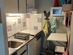een kleine keuken met een wastafel en een fornuis bij Appartement Villard-de-Lans, 2 pièces, 6 personnes - FR-1-689-116 in Villard-de-Lans