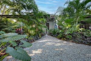 um jardim com palmeiras e uma casa em Tropicana Villas at Clifton Beach em Clifton Beach