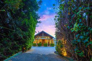 Сад в Chaarya Resort & Spa