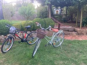 due biciclette parcheggiate nell'erba in un cortile di Peg Cottage a Evandale