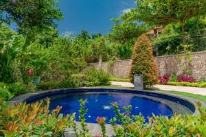 Bazén v ubytování Alamanda Lovina Resort nebo v jeho okolí