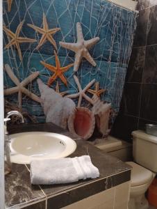 科蘇梅爾的住宿－Hermosa Casa Esencia en Cozumel，一间带水槽的浴室,墙上有星星。