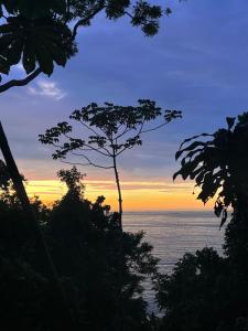 a view of the ocean through the trees at sunset at Amazing forest House in the city! Private guest suite - double studio room in Rio de Janeiro