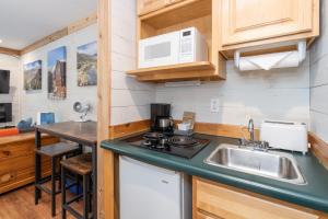 een kleine keuken met een wastafel en een fornuis bij Mountainside Inn 310 Hotel Room in Telluride