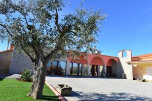 a tree in front of a building at Kazas do SeRado in Caria