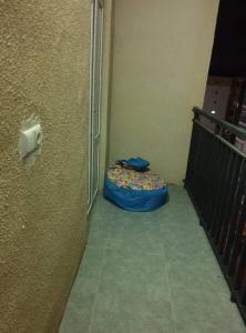 Habitación con cama de perro azul en el pasillo en Срочно Сдаётся!!!, en Tiflis