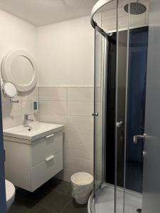 La salle de bains est pourvue d'un lavabo et d'une douche. dans l'établissement Hotel-Fritz, à Valwig